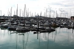 PIC08593.JPG